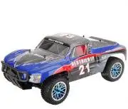             HSP: Rally Monster PRO 2.4GHz 1:10 Brushless         