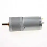 25mm 12V DC 200RPM Powerful High Torque Gear Box Motor