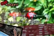 Mini Quadrocopter, QR Ladybird V2