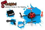 Mini Quadrocopter, QR Ladybird V2